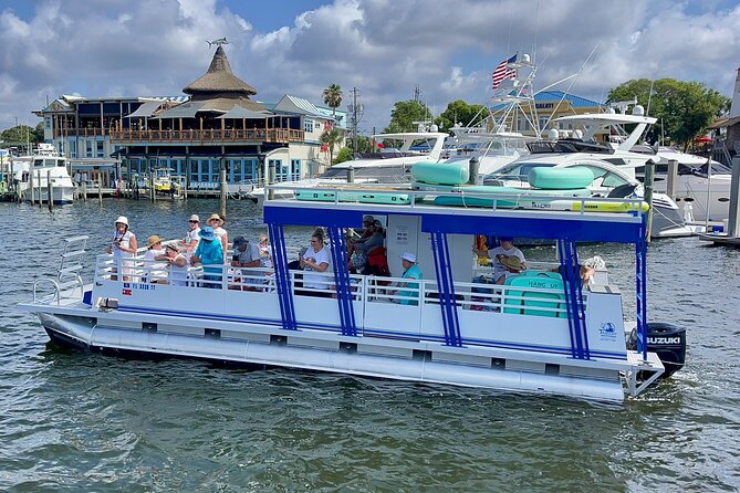One Hour Harbor Shared Tour Review - Dolphin Watching Experience