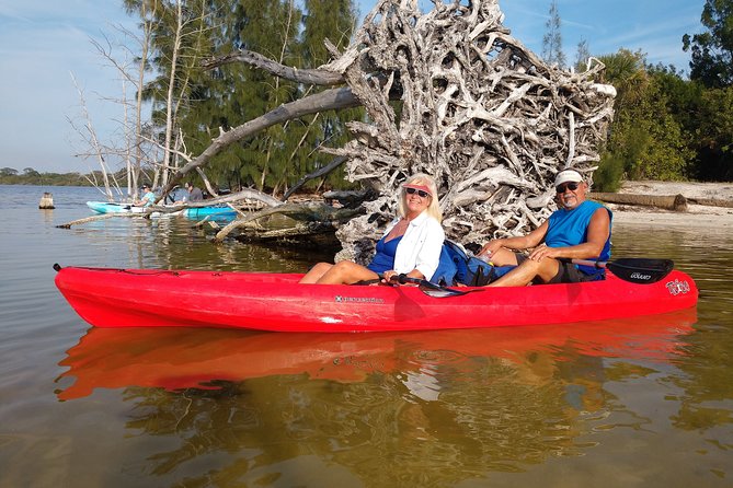 One Single Kayak Rental for 2 Hours With Manatee & Dolphin Sightings! - Booking and Pricing
