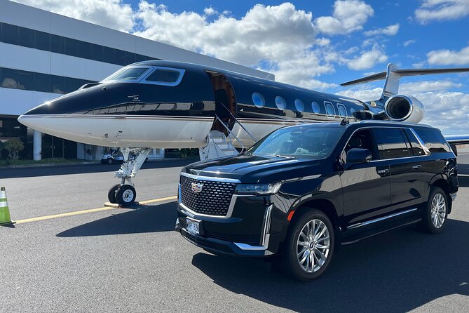 One-Way VIP Transfer: Honolulu Airport, Ko Olina, Cruise Port - Customer Feedback