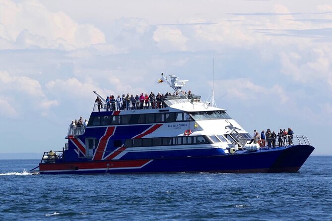 Only Wildlife and Whale Watching Tour Leaving From Seattle - Getting to the Departure Location
