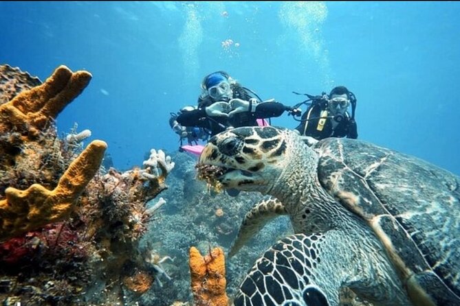 Open Water Diver Course - Cancellation Policy