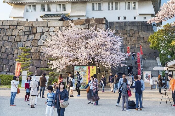 Osaka Cherry Blossom Tour With a Local: 100% Personalized Private - Accessibility and Inclusivity
