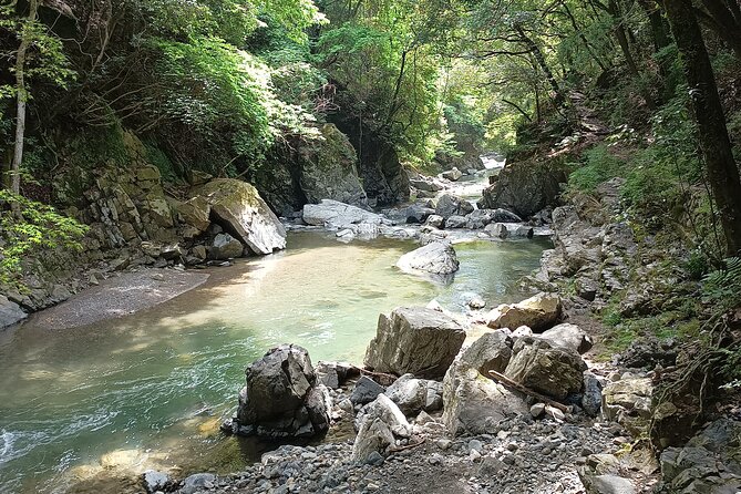 Osaka River Rapids Hike and Natural Hot Spring Tour - Hike Through the Osaka River Rapids