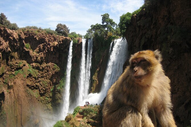Ouzoud Waterfull - Day Trip From Marrakech - Tips for a Great Trip