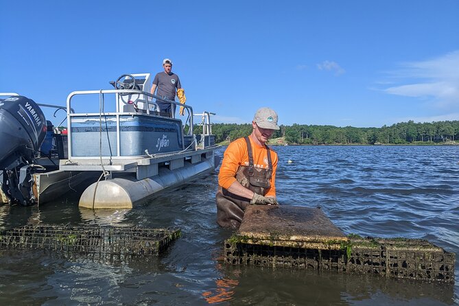 Oyster Tasting and Kayak Tour - Navigating the Meeting and End Points