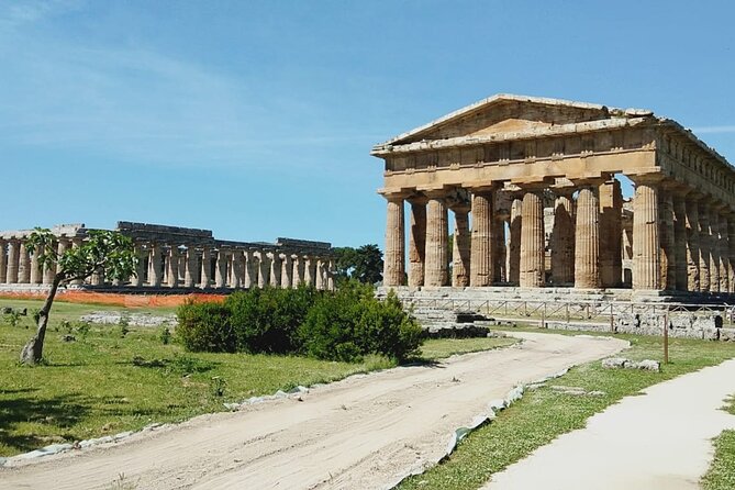 Paestum UNESCO World Heritage - Visitor Amenities and Facilities
