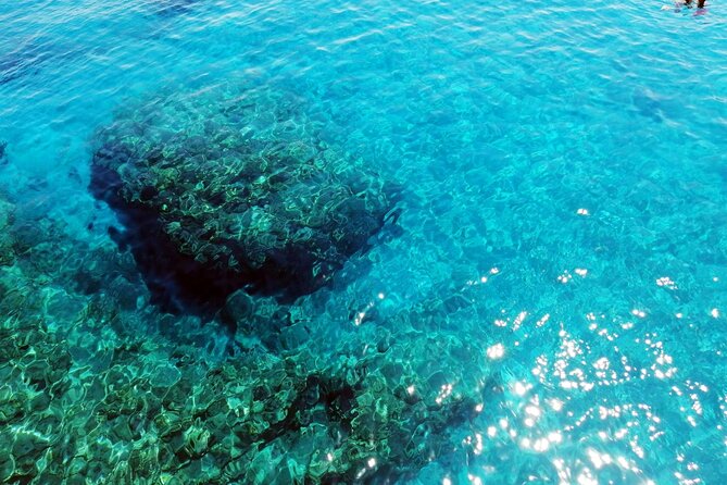 Pafos Zoo Visit & Blue Lagoon Cruise With Local Guide Limassol - Pickup and Drop-off