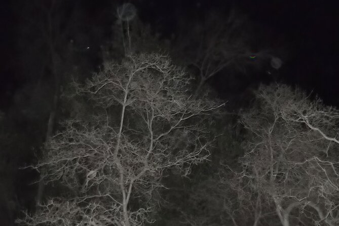 Paranormal Investigation History & Ghost Tour Review - Accessibility and Accommodations for the Tour