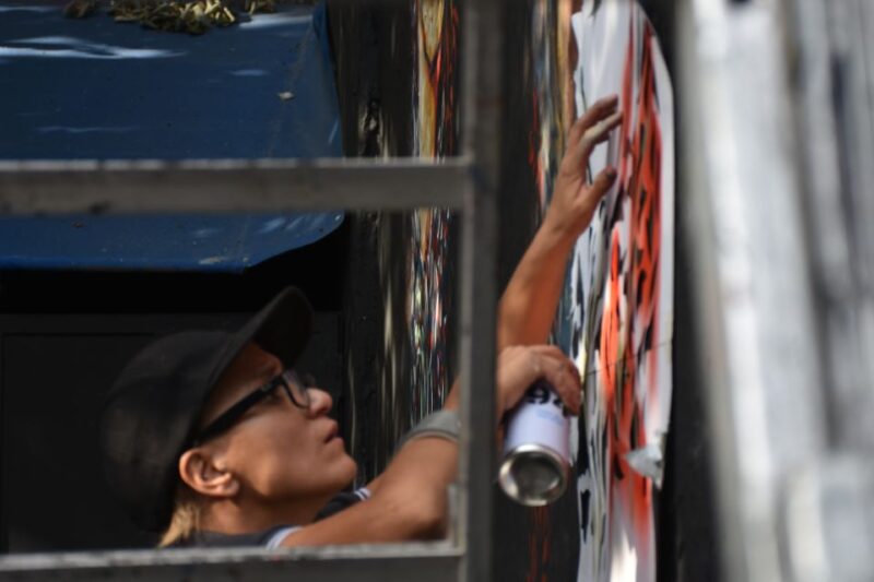 Paris: Belleville Street Art Tour With an Artist - Tour Logistics and Details