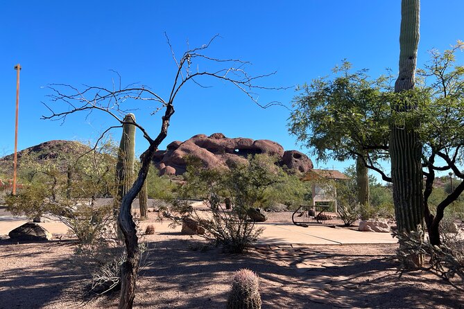 Peaceful Morning Walk Review: A Desert Adventure - Convenient Location and Transportation