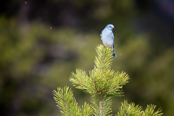 Photography Workshop in Grand Teton National Park - Price and Guarantee