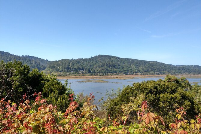 Point Reyes National Seashore Tour Review - Value and Pricing