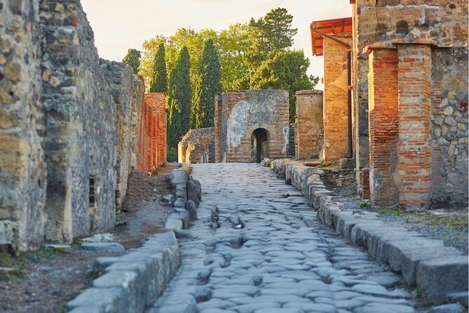 Pompeii & Bosco De Medici Winery Skip the Line From Sorrento - Bosco De Medici Winery