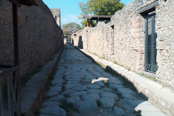 Pompeii Skip-The-Line and Sorrento Fullday From Rome - Sorrento Exploration