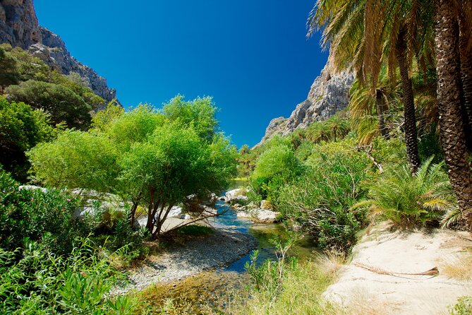 Preveli Palm Beach & Rethimno City :Full-Day Tour With Lunch Box - Accessibility Information
