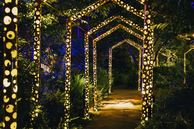 Princess Kaguyas Glowing Garden Pass in Sakuramachi Kumamoto - Pricing and Guarantees