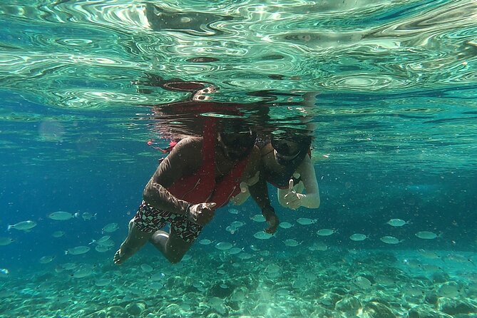 Private 1-Hour Guided Snorkeling Adventure With Go Pro Pictures - Cancellation Policy