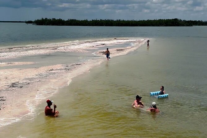Private 2 Hour Dolphin & Eco Tour Review - Recommended for Whom