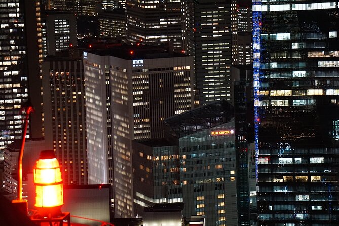 Private Amazing Tokyo Night Tour With English Speaking Driver - Tour Experience