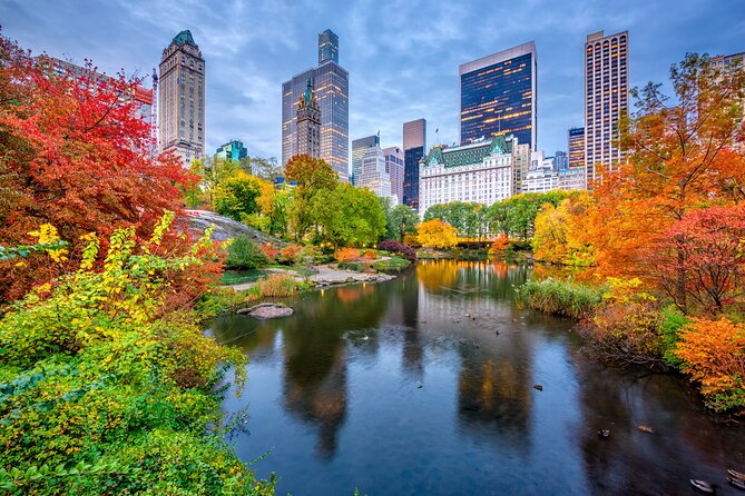 Private American Beer Tasting Tour in New York City - Booking and Cancellation Policies