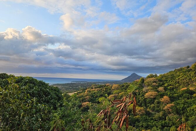 Private and Guided Tour of Mauritius South - Pricing Information