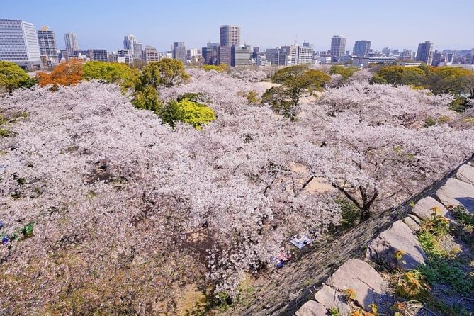 Private and Unique Fukuoka Cherry Blossom Sakura Experience - Booking and Cancellation Policy