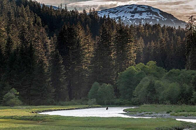 Private Bear Viewing By Seaplane - What to Expect During the Tour