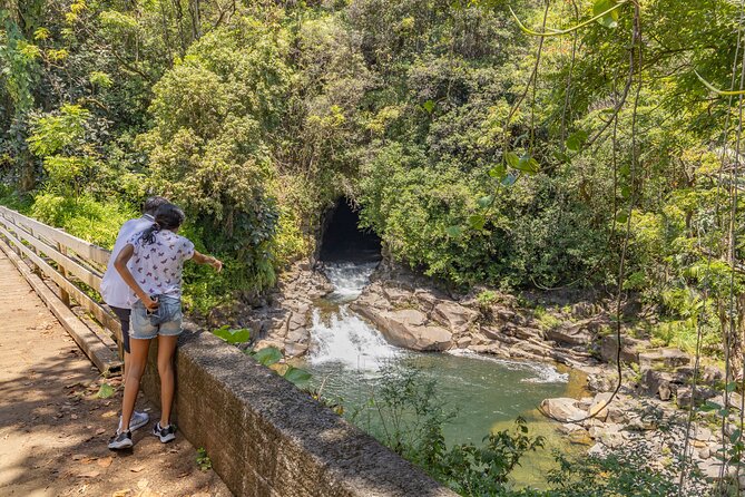 Private Big Island Volcano & Waterfalls Tour Review - Accessibility Considerations