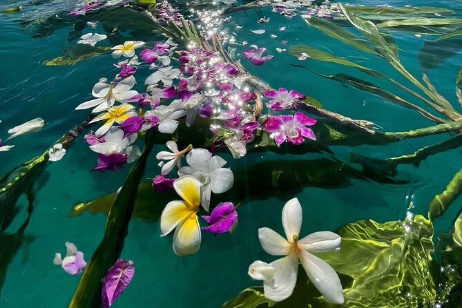 Private Boat Cruise of Waikiki! Snorkel, Sightseeing, Sea Life! - Inclusions and Amenities