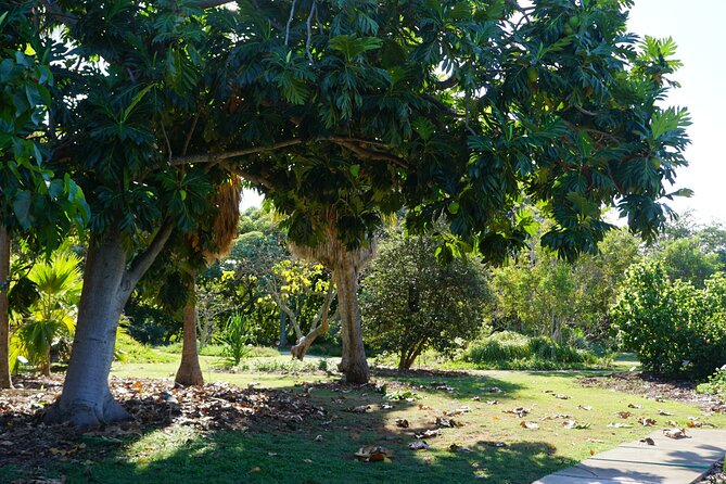Private Botanical Garden Experience in the Heart of Maui - Why Choose Restore Maui LLC for Your Experience