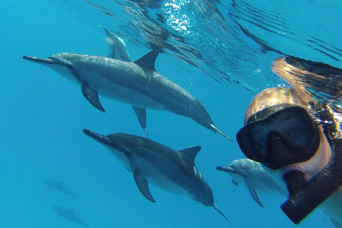Private Charter: Customizable Big Island Boat Adventure - Reviews and Feedback From Travelers