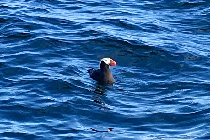 Private Charter Scenic Sea Bird Excursion Review - Booking Process and Flexibility