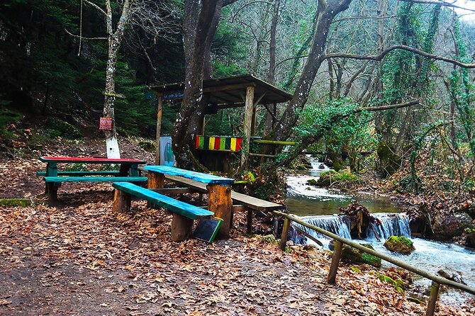 Private Day Tour From Athens to Pavliani Forest Park Trek - Important Considerations
