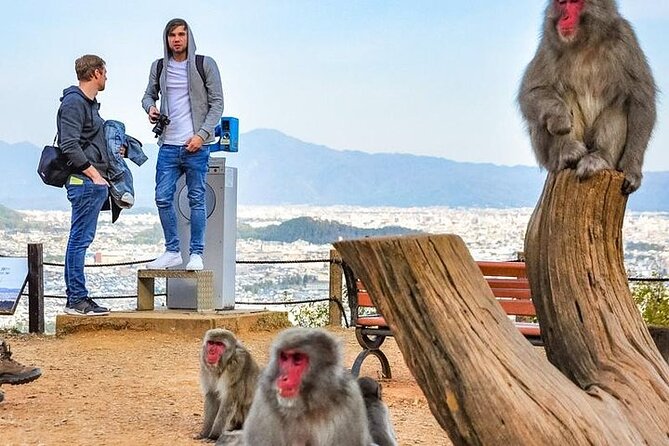 Private Day Tour - Kyoto Arashiyama & Bamboo Forest Perfect Tour! - Costs and Additional Information