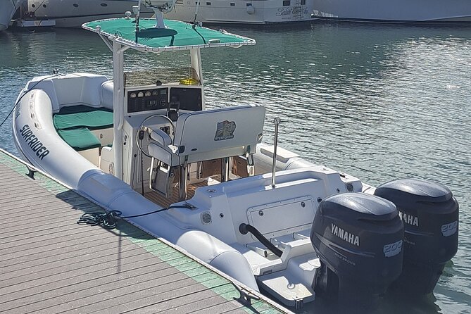 Private Dolphin and Whale Watching Tour in Newport Beach - Personalized Commentary From the Certified Marine Naturalist