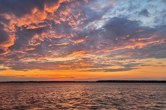 Private Dolphin Boat Tour in Hilton Head Island - Traveler Recommendations and Reviews