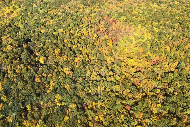 Private Fall Foliage Helicopter Tour Review - Frequently Asked Questions