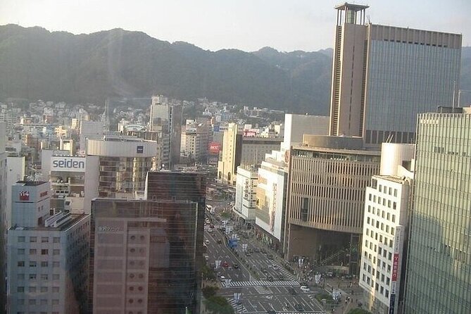 Private Full-Day Guided Tour of Himeji and Kobe - Discovering Kobes Chinatown and Harbor