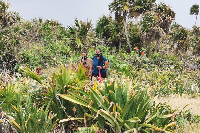 Private Full-Day Guided Tulum Coba and Cenote Tour With Lunch - Experience the Mayan Ruins