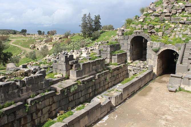 Private Full Day Tour to Umm Qais and Ajloun From Amman - Important Information