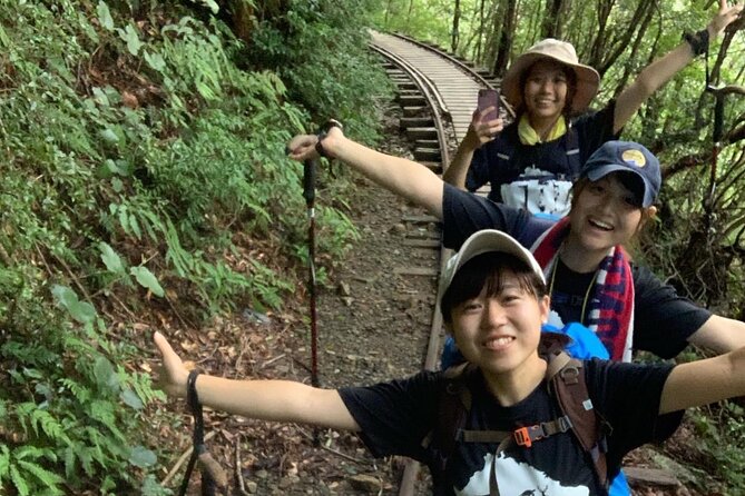 [Private Guide & Plan With Bento] Lets Walk in the Forest of Thousands of Years of Age! Jomon Cedar Day Trip Trekking [Special Lunch With Yakushima Ingredients! ] - Special Lunch With Yakushima Ingredients