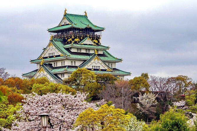 Private Guided Custom Walking Tour in Osaka - Price and Cancellation Policy