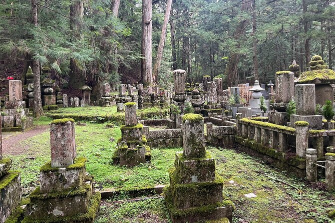 Private Guided Day Tour of Mount Koya - What to Expect on the Tour
