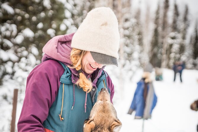 Private Guided Dog Sledding on the Historic Yukon Quest Trail - Immersive Mushing Lifestyle
