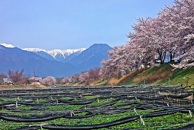 Private Guided Half Day Tour Visit in Nagano - Snacks and Wasabi Ice Cream