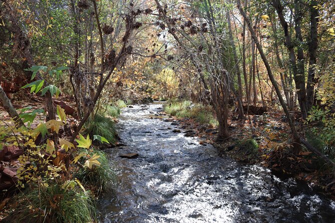 Private Guided Hike in Sedona With Access to Oak Creek - Exploring Sedonas Iconic Red Rocks