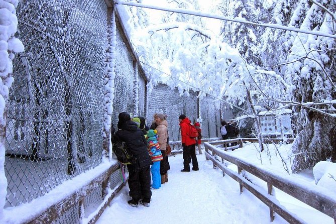 Private Guided Lapland Ranua Zoo Tour From Rovaniemi - Accessibility Features