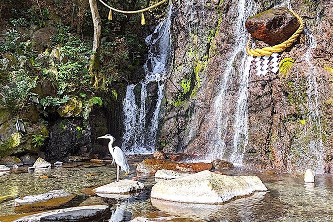 Private Hakone Tour - View of Mt. Fuji, Nature and Culture - Cultural Experiences