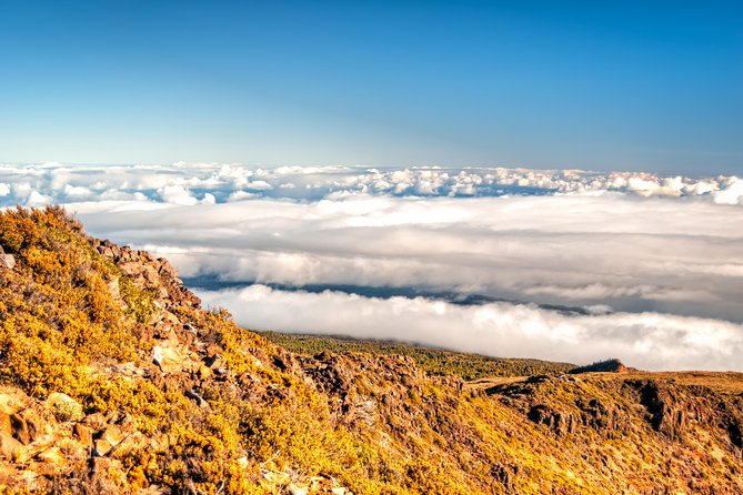 Private Haleakala Summit & Stroll From Kahului - Personalized Attention and Flexibility