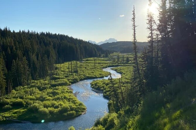 Private Half-day Fly Fishing Review - Highlights From Guest Reviews